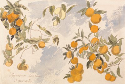 Obstbäume, 3. April 1863 von Edward Lear